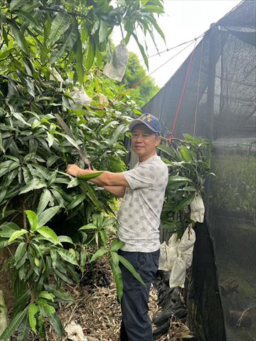 生產者圖片