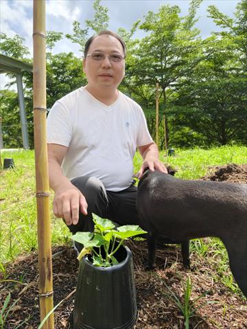 生產者圖片