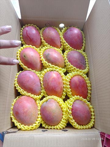 生產者圖片