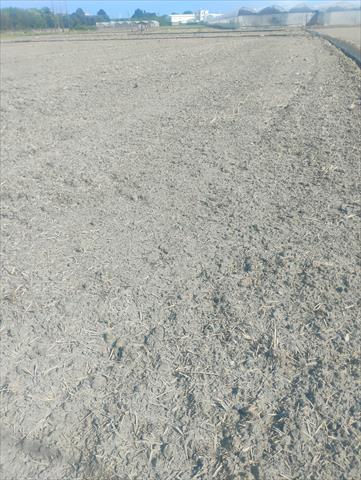 生產者圖片