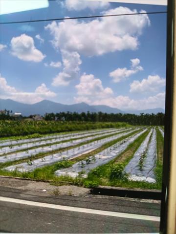 生產者圖片