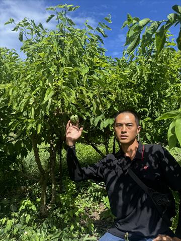 生產者圖片