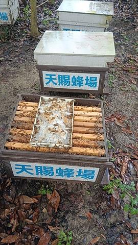 生產者圖片