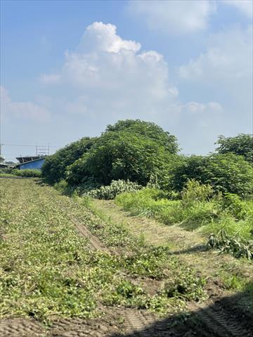 生產者圖片
