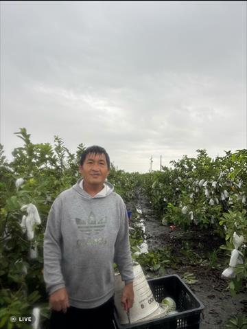 生產者圖片