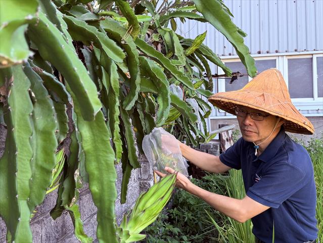 生產者圖片