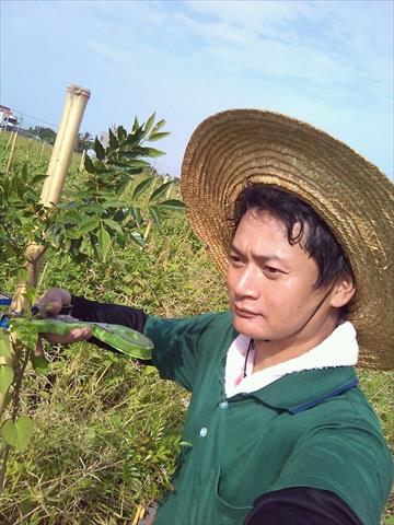 生產者圖片