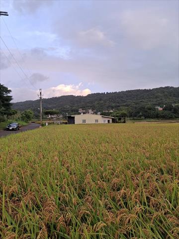 生產者圖片