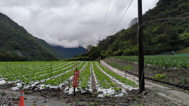 生產者圖片