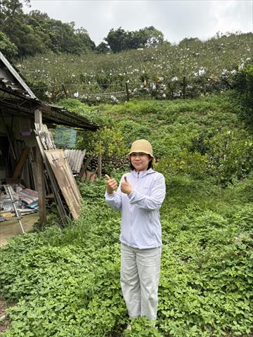 生產者圖片