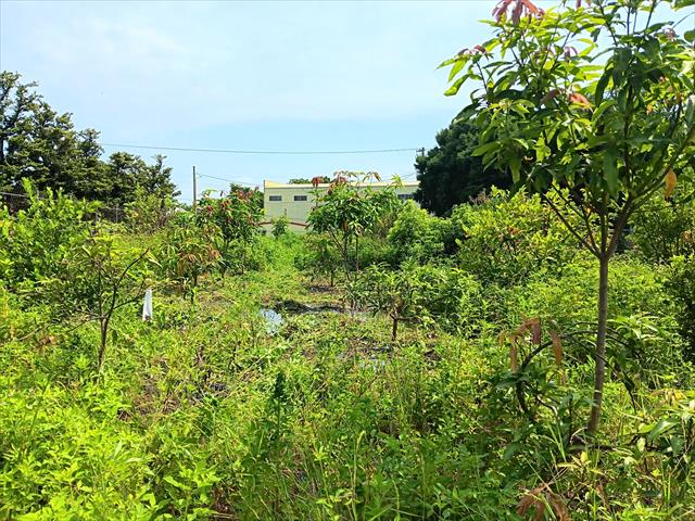 生產者圖片