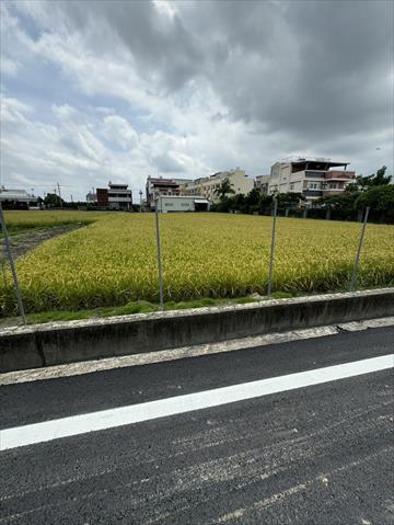 生產者圖片