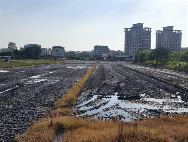 生產者圖片