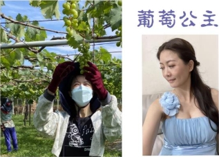 生產者圖片