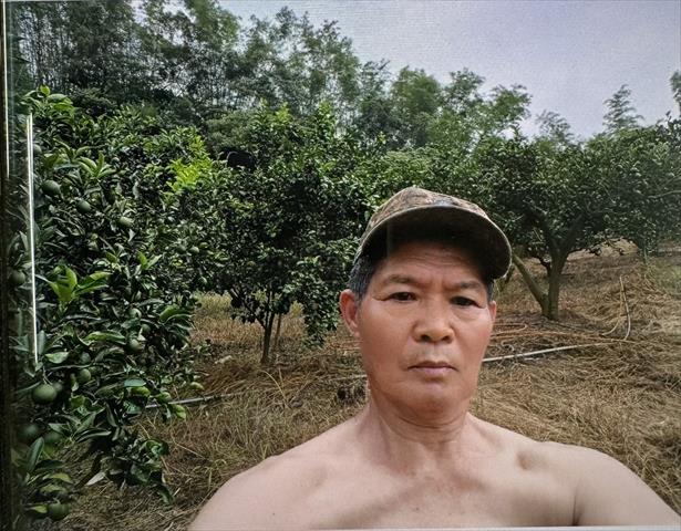 生產者圖片