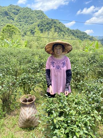 生產者圖片