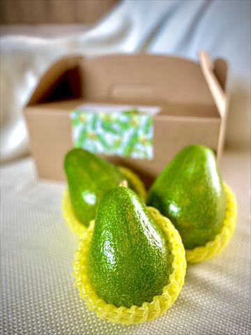 生產者圖片