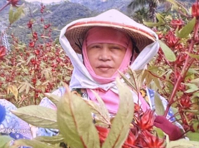 生產者圖片