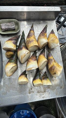 生產者圖片