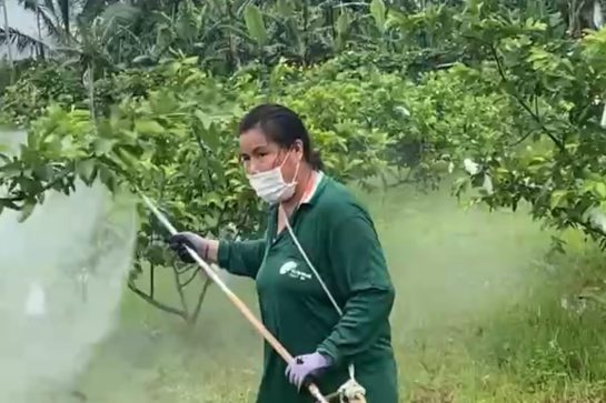 生產者圖片