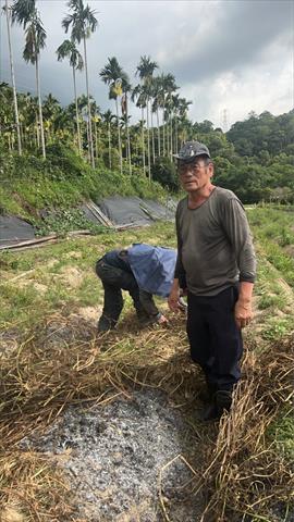 生產者圖片