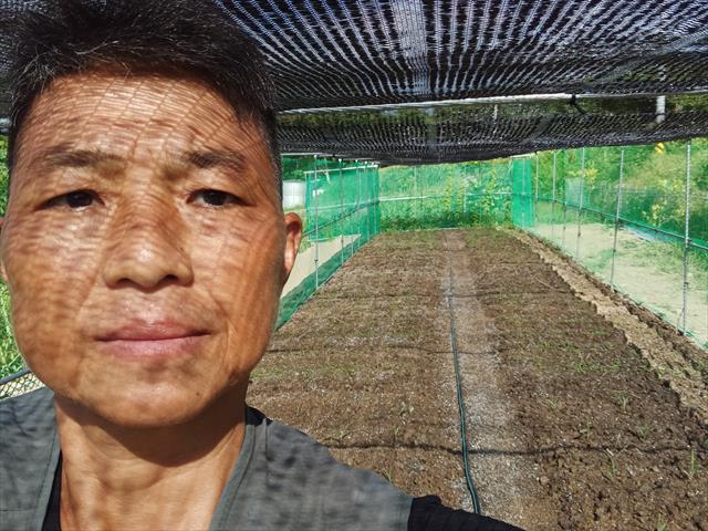 生產者圖片