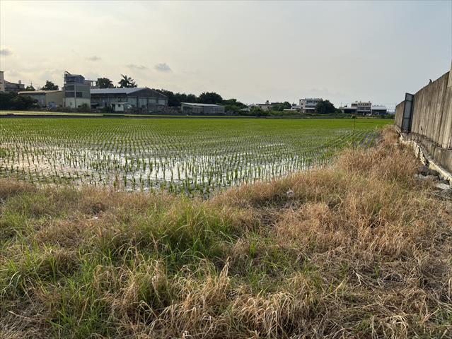 生產者圖片