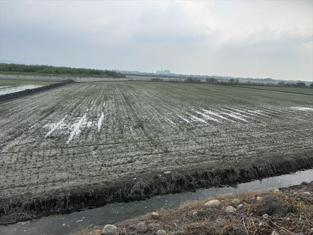 生產者圖片