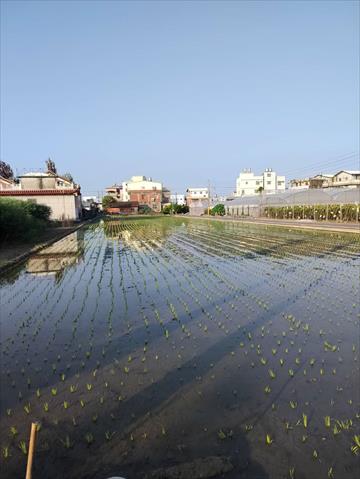 生產者圖片