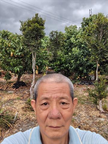 生產者圖片
