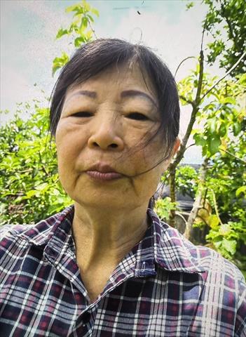 生產者圖片