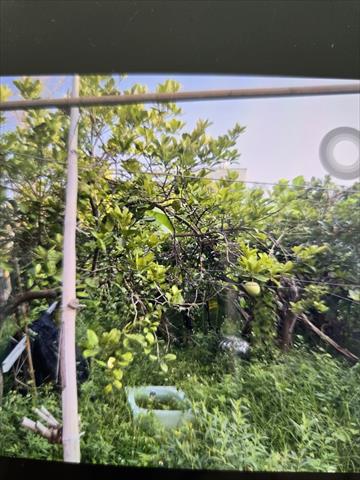 生產者圖片