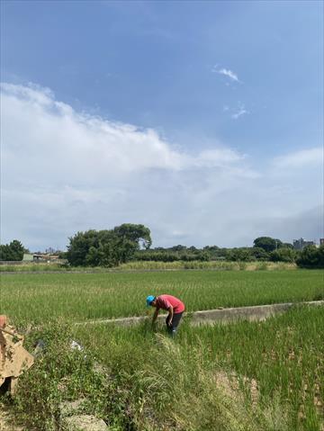 生產者圖片