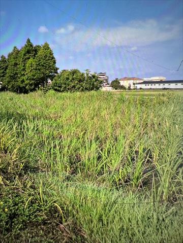 生產者圖片