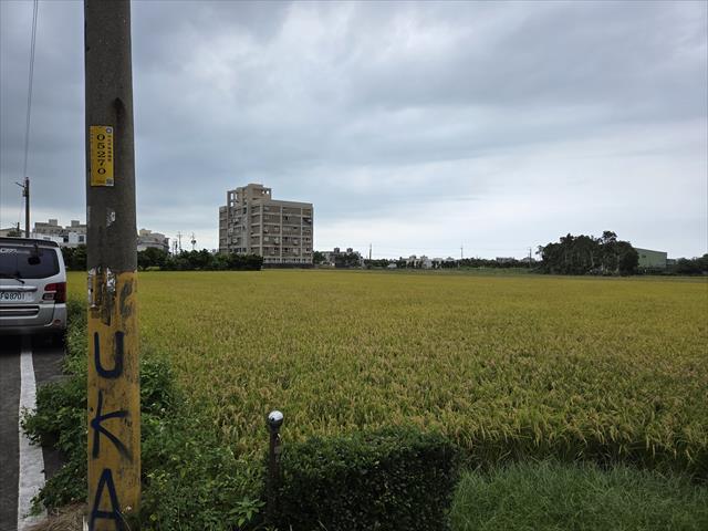生產者圖片