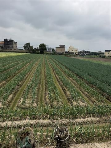 生產者圖片