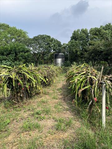 生產者圖片