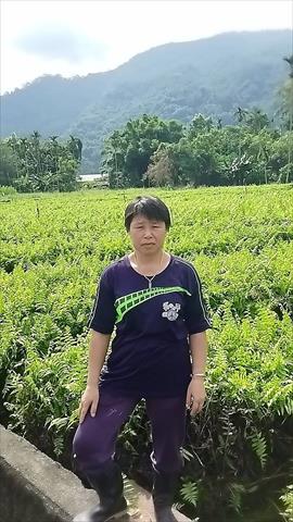 生產者圖片