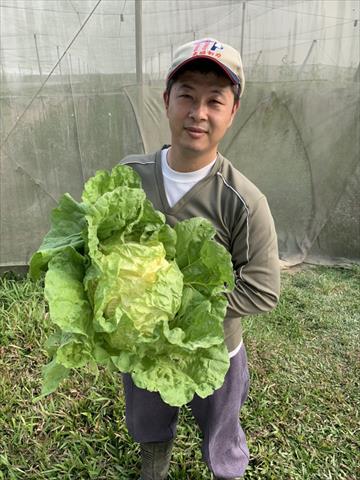 生產者圖片