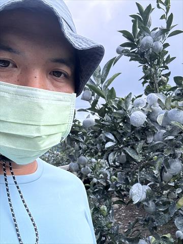 生產者圖片