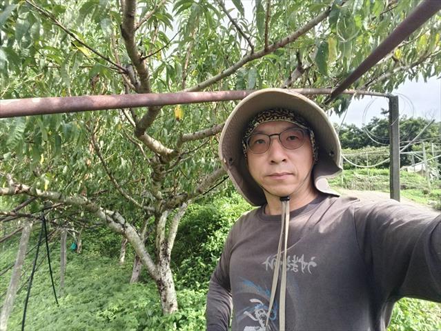 生產者圖片