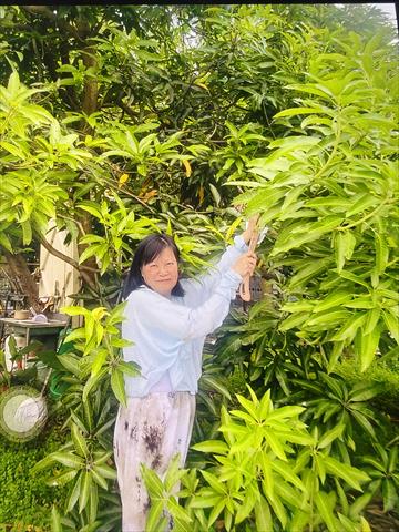 生產者圖片