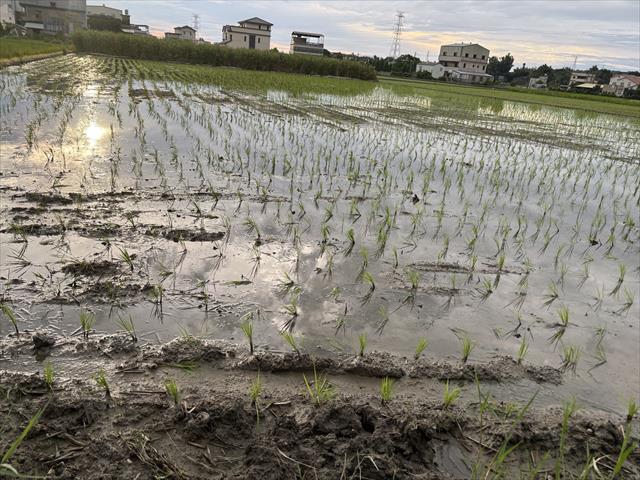 生產者圖片