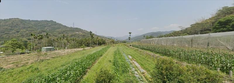 生產者圖片