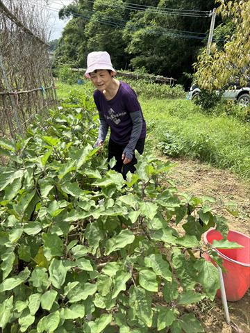 生產者圖片