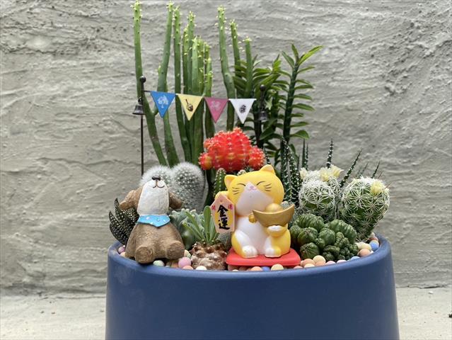 生產者圖片