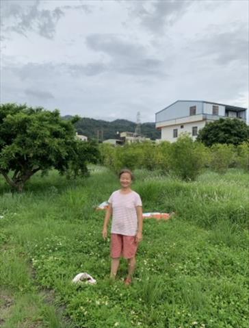 生產者圖片