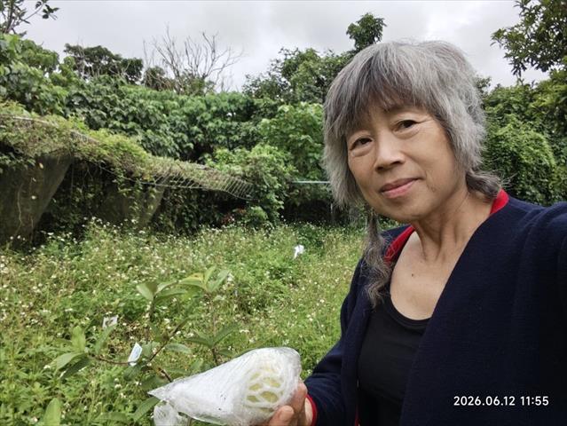 生產者圖片