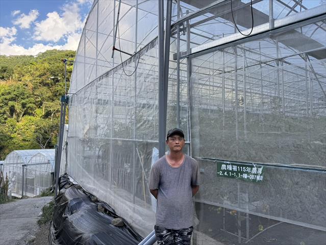 生產者圖片