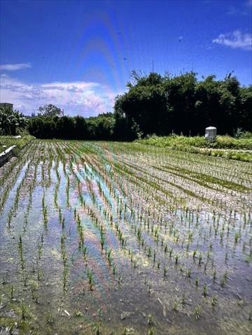 生產者圖片